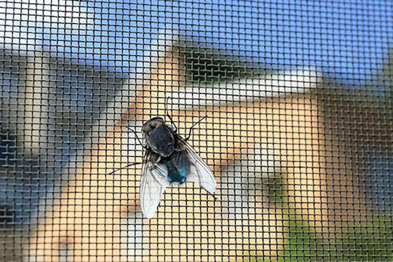 1 X Fly & Insect Screen mesh kit